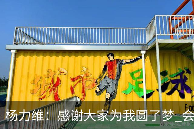 杨力维：感谢大家为我圆了梦 会积极面对伤病